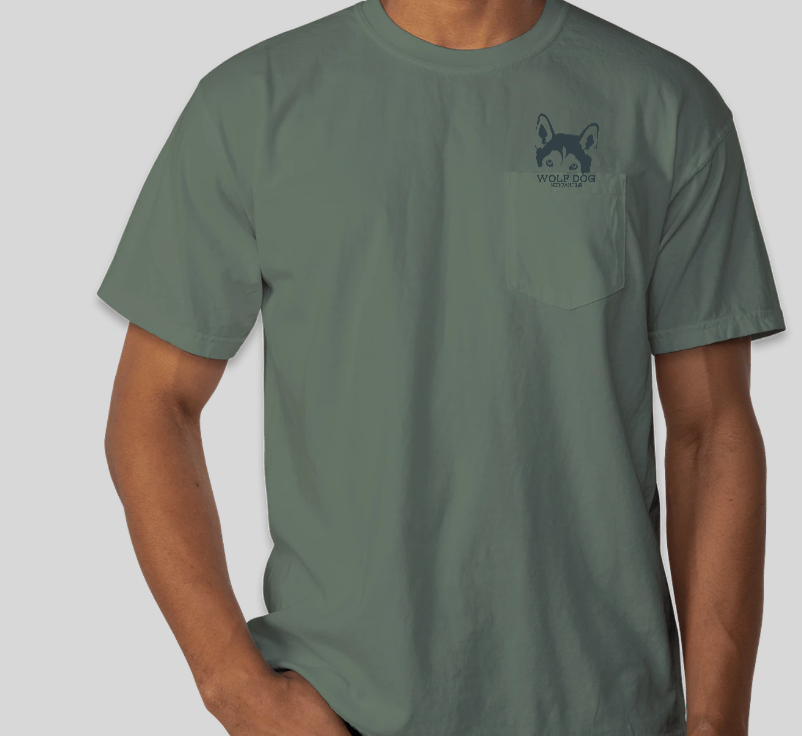 WDM Short Sleeve T-Shirt Green